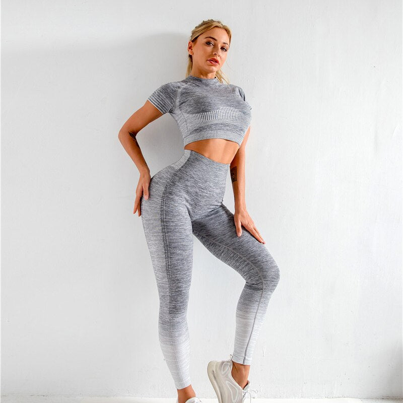 Seamless Yoga Clothes Suit Women Autumn and Winter New Knitting Hips Stretch Fitness Sports Yoga Clothes 2 Piece Set